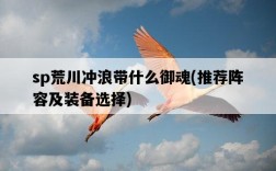 sp荒川沖浪帶什么御魂，推薦陣容及裝備選擇