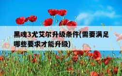 黑魂3尤艾爾升級條件，需要滿足哪些要求才能升級