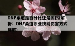 DNF柔道是百分比還是固傷，解析：DNF柔道職業技能傷害方式詳解