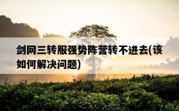 劍網三轉服強勢陣營轉不進去，該如何解決問題
