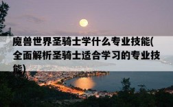 魔獸世界圣騎士學什么專業技能，全面解析圣騎士適合學習的專業技能