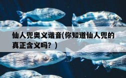 仙人兜奧義諧音，你知道仙人兜的真正含義嗎？
