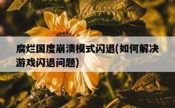 腐爛國度崩潰模式閃退，如何解決游戲閃退問題