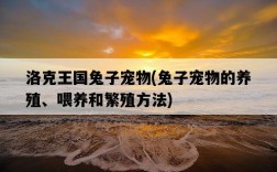 洛克王國兔子寵物，兔子寵物的養殖、喂養和繁殖方法