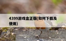 4399游戲盒正版，如何下載及使用