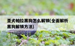 圣犬帕拉黑狗怎么解鎖，全面解析黑狗解鎖方法