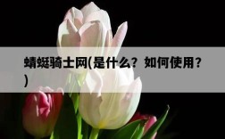 蜻蜓騎士網，是什么？如何使用？