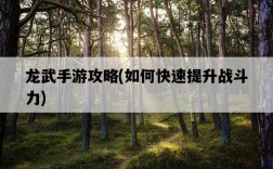 龍武手游攻略，如何快速提升戰斗力