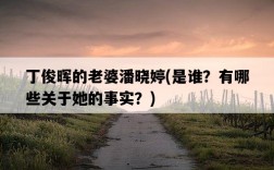 丁俊暉的老婆潘曉婷，是誰？有哪些關于她的事實？