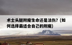 術士頭腿附魔生命還是法傷？，如何選擇最適合自己的附魔
