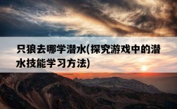 只狼去哪學潛水，探究游戲中的潛水技能學習方法