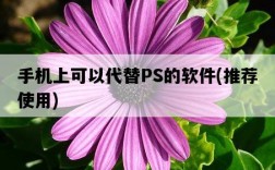 手機上可以代替PS的軟件，推薦使用