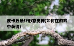 皮卡丘最終形態皮神，如何在游戲中獲得