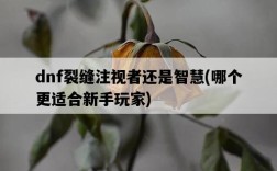 dnf裂縫注視者還是智慧，哪個更適合新手玩家