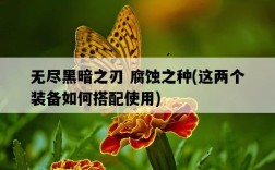 無盡黑暗之刃 腐蝕之種，這兩個裝備如何搭配使用