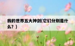 我的世界五大神劍，它們分別是什么？