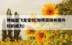 神仙道飛龍寶杖，如何獲得并提升杖的威力
