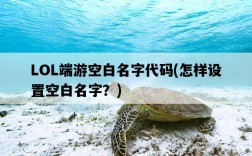 LOL端游空白名字代碼，怎樣設置空白名字？