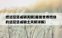 燃遠征懲戒騎天賦，魔獸世界燃燒的遠征懲戒騎士天賦詳解