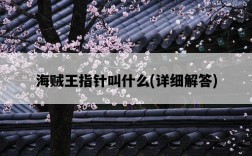 海賊王指針叫什么，詳細解答