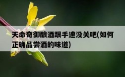 天命奇御釀酒跟手速沒關吧，如何正確品嘗酒的味道