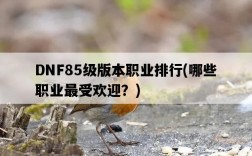 DNF85級版本職業排行，哪些職業最受歡迎？