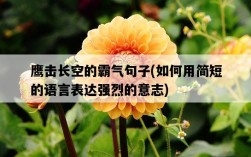 鷹擊長空的霸氣句子，如何用簡短的語言表達強烈的意志