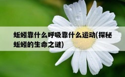 蚯蚓靠什么呼吸靠什么運動，探秘蚯蚓的生命之謎