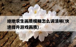 絕地求生畫質模糊怎么調清晰，快速提升游戲畫質