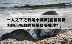 一人之下之我是小師叔，劇情解析為何小師叔的身份備受關注？
