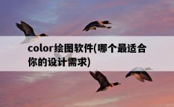 color繪圖軟件，哪個最適合你的設計需求