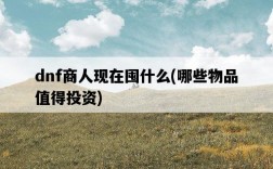 dnf商人現在囤什么，哪些物品值得投資