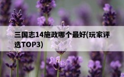 三國志14施政哪個最好，玩家評選TOP3
