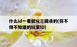 什么id一看就玩三國殺的，你不得不知道的玩家ID