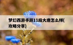 夢幻西游手游11段大唐怎么樣，攻略分享