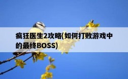 瘋狂醫生2攻略，如何打敗游戲中的最終BOSS