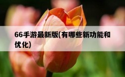 66手游最新版,有哪些新功能和優化