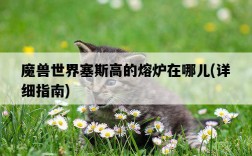魔獸世界塞斯高的熔爐在哪兒，詳細指南