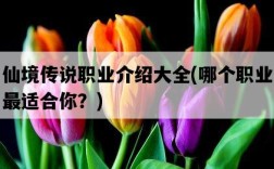 仙境傳說職業介紹大全，哪個職業最適合你？