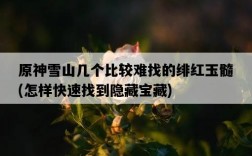 原神雪山幾個比較難找的緋紅玉髓,怎樣快速找到隱藏寶藏