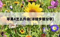 蘋果4怎么升級，詳細步驟分享