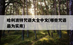 哈利波特咒語大全中文,哪些咒語最為實用