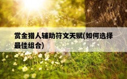 賞金獵人輔助符文天賦，如何選擇最佳組合