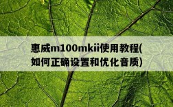 惠威m100mkii使用教程，如何正確設置和優化音質