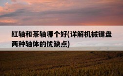 紅軸和茶軸哪個好，詳解機械鍵盤兩種軸體的優缺點