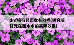 dnf暗符咒團本有效嗎，探究暗符咒在團本中的實際效果