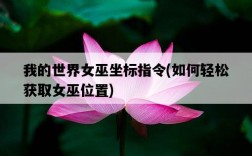 我的世界女巫坐標指令，如何輕松獲取女巫位置