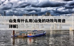 山兔有什么用，山兔的功效與用途詳解