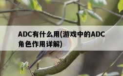 ADC有什么用,游戲中的ADC角色作用詳解