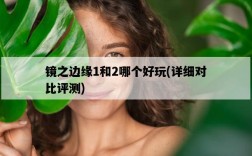 鏡之邊緣1和2哪個好玩，詳細對比評測